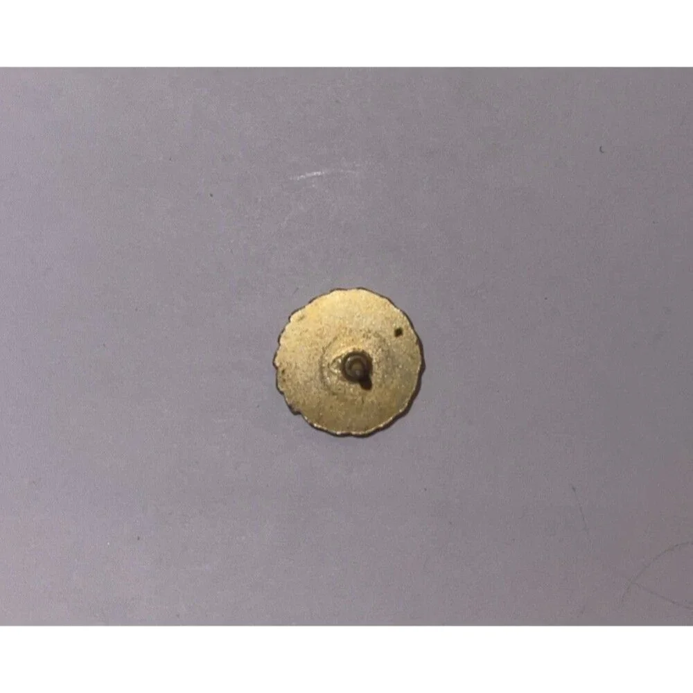 WWII ORIGINAL AMERICAN VETERANS AMVETS OF WORLD WAR II LAPEL PIN Free Shipping